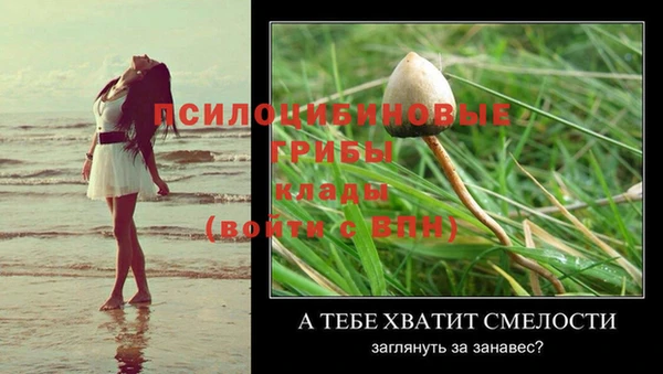 герыч Алексин